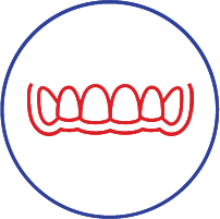 Red illustration of upper teeth aligned in a circle on white background.